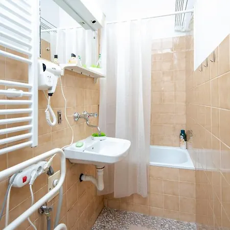 Dalmatinska * 사라예보